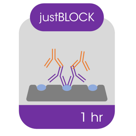 an image representing the Gel Electrophoresis – Consumables – Blocking Buffers category