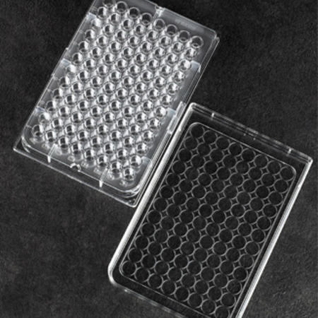 Image of Sterilin Microplate